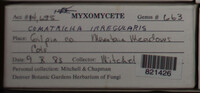 Image Associated With the Occurence